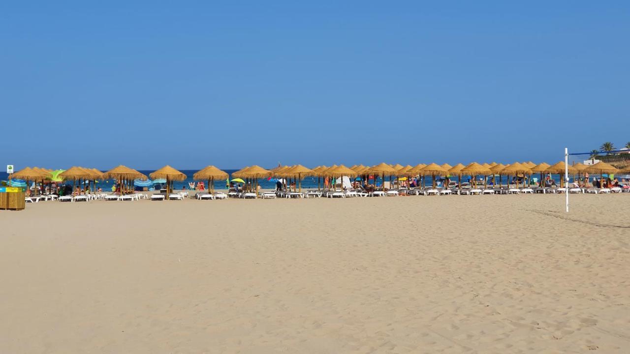 Modern Beach Studio خافييا المظهر الخارجي الصورة
